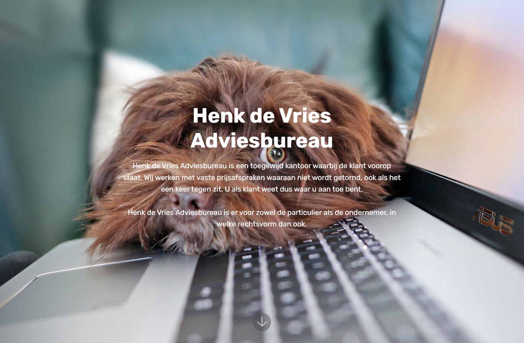 Henk de Vries Adviesbureau Website