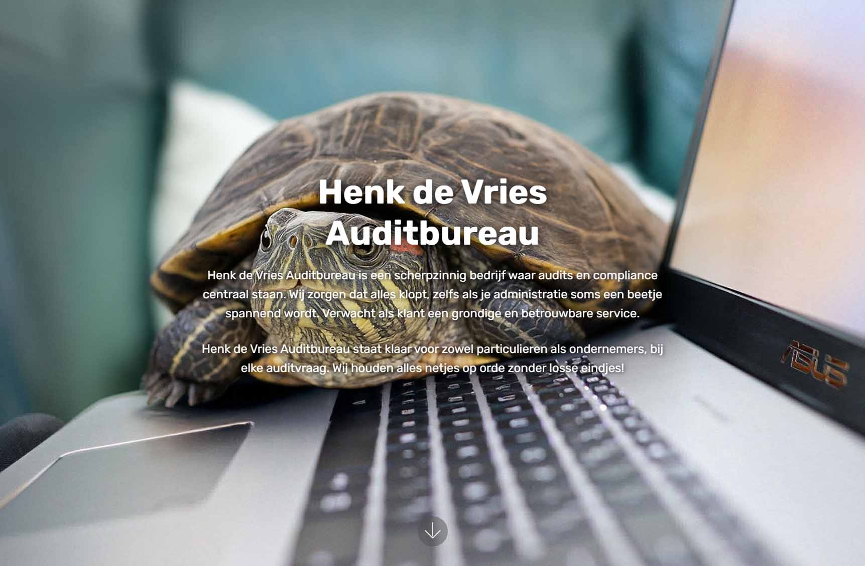 Henk de Vries Auditbureau Website