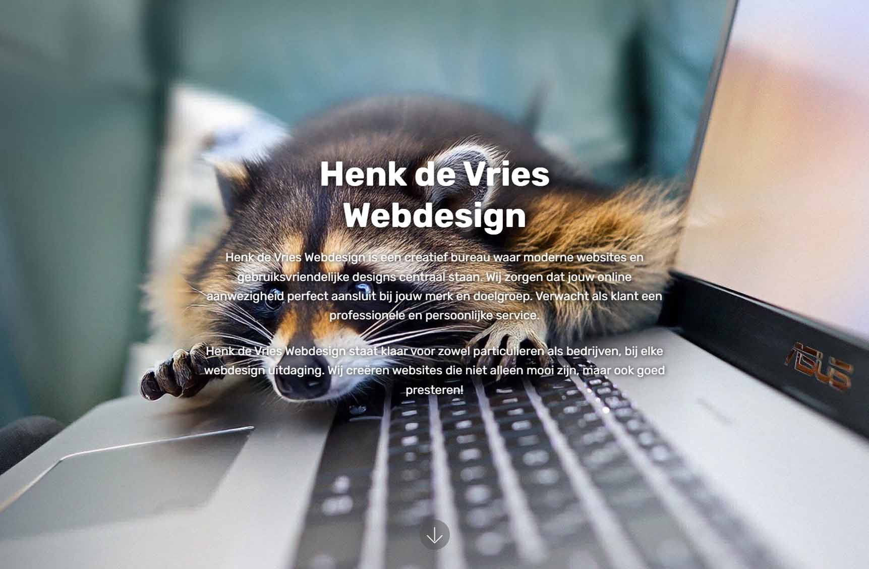 Henk de Vries Webdesign Website